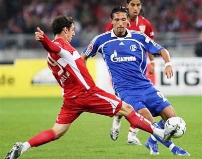 专家基于证 专家基于证